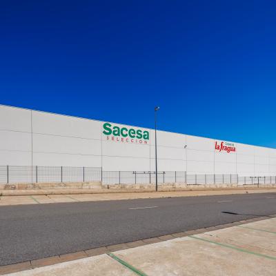 8525 240711lamaja029