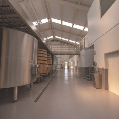 Photo 2025 05 07 16 23 42 11